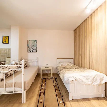 Old Street Apartment Podgorica
